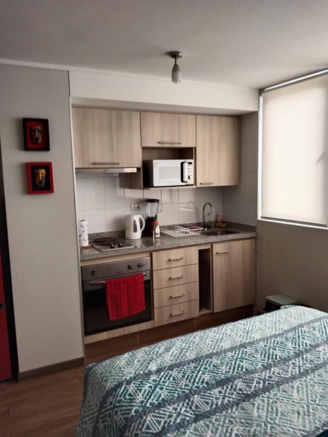 Departamento Nuevo Tipo Estudio En Pleno Centro -8 Lejlighed Concepción Eksteriør billede