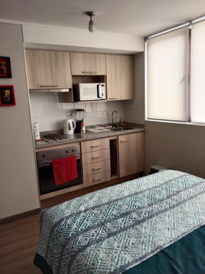 Departamento Nuevo Tipo Estudio En Pleno Centro -8 Lejlighed Concepción Eksteriør billede
